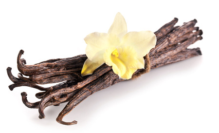 Bunch of vanilla sticks and orchid flower on white background.の写真素材