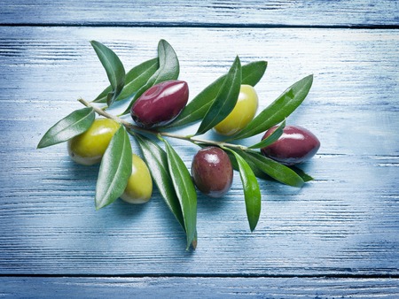 Olive twig on blue wooden background.の写真素材