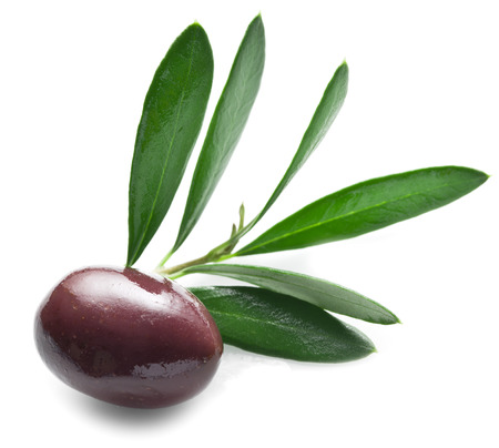 Olive with leaves on a white background.の写真素材