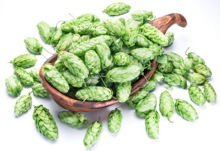 Hop cones in the wooden bowl. Isolated on the white background.