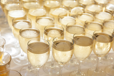 Raw of glasses filled with cold champagne.の写真素材