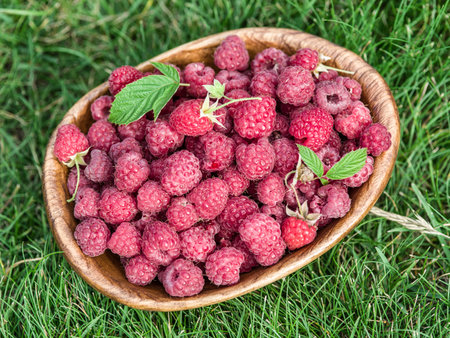 Raspberries in the wooden bowl in the grass.