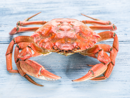 Cooked crab on old blue wooden table.の写真素材