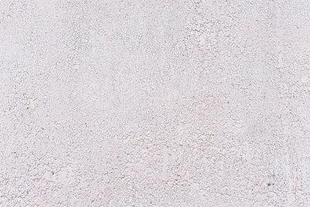 Crackles of paint on the old grey wall.