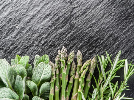 Green herbs on the graphite board.の写真素材