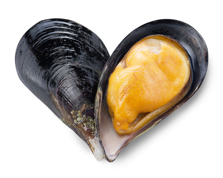Mussel in a shape of heart. File contains clipping paths.の写真素材