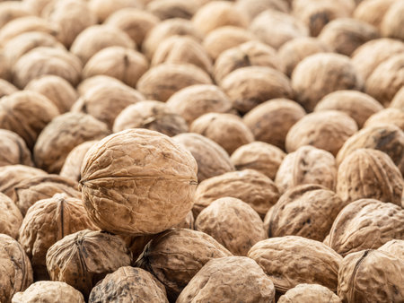 Walnuts background.の写真素材
