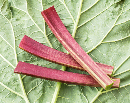 Edible rhubarb stalks on the wooden table.の写真素材