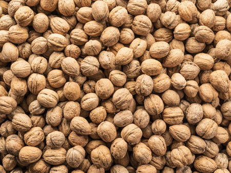 Walnuts background.