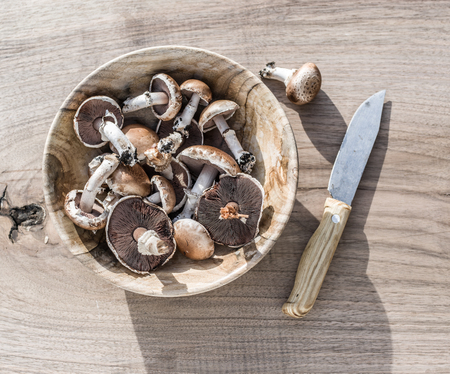 Champignon mushrooms in the bowl on the wooden table.の写真素材