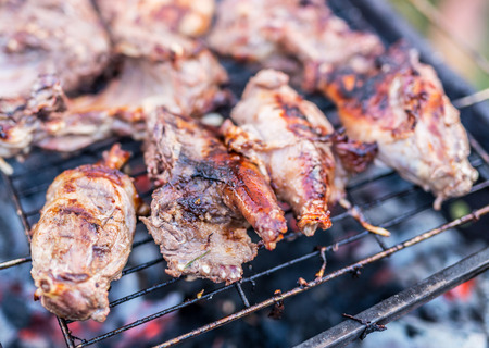 Nutria meat on grill.の写真素材