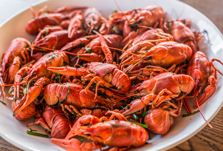 Full plate of boiled crayfishes. Top view.の写真素材