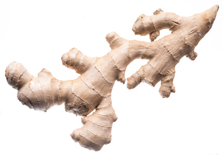 Fresh ginger rhizome or ginger root. Isolated on white background.の写真素材
