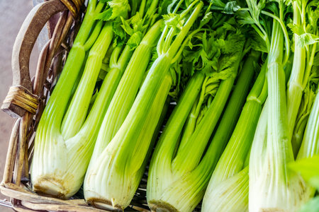 Heads of celery. Close-up.の写真素材