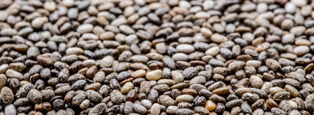 Heap of Chia seeds.