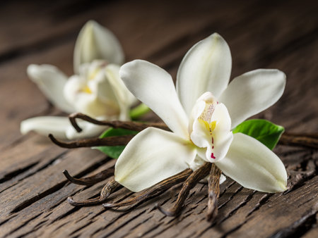 Dried vanilla sticks and vanilla orchid on wooden table. Close-up.