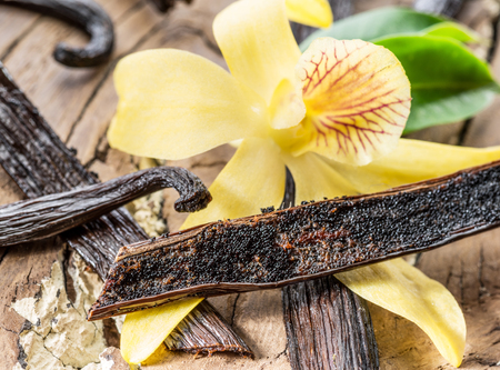 Dried vanilla stick and vanilla orchid on wooden table. Close-up.の写真素材