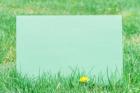 Green paper blank on the green grass. Green grass as a frame.