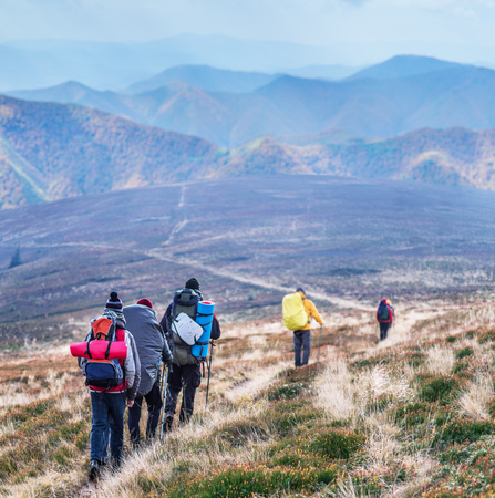 Group of tourists are trekking in the mountain.の写真素材