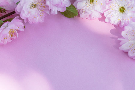 Violet paper blank and beautiful flowers of almond plant on it.