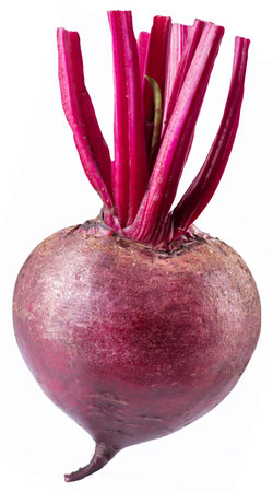 Red beet or beetroot with leaves on white background.