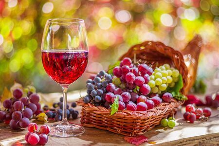 Autumn still life with ripe different grape varieties and wine glass. Behind the beautiful autumn bokeh.の写真素材