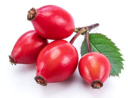 Rose-hips with rose leaves isolated on a white background.の写真素材