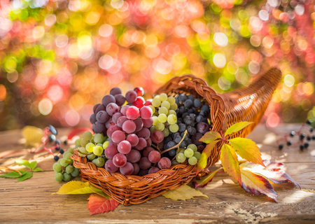 Autumn still life with ripe different grape varieties. Behind the beautiful autumn bokeh.