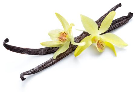 Dried vanilla fruits and orchid vanilla flower isolated on white background.の写真素材