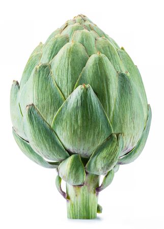 Artichoke flower edible bud isolated on white background.の写真素材