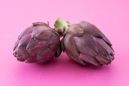 Artichoke flowers, purple edible buds isolated on pink background.の写真素材