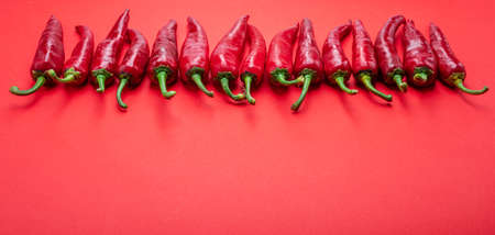Fresh red chili peppers lay in a rowの写真素材