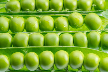 Rows of perfect green peas in pod isolated on white background.の写真素材