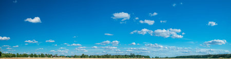 Panoramic view of wheat field and blue sky at the background. Beautiful rural nature background.