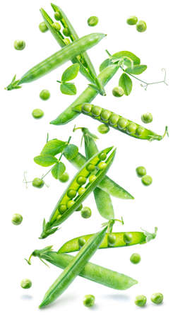 Levitation of green peas. Peas and pea pod falling down isolated on white background.の写真素材