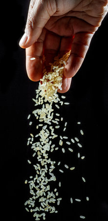 White rice grains falling down into the spoon at black background. Popular food and main ingredient...