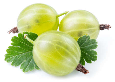 Three green ripe gooseberries with leves on white background. close-up.の写真素材
