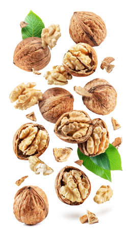 Walnuts, walnut kernel and cracked walnut flying in the air on white background.の写真素材