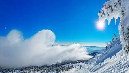Beautiful sunny winter landscape in thÑ mountains. Mountain and fir trees covered with snow.の写真素材