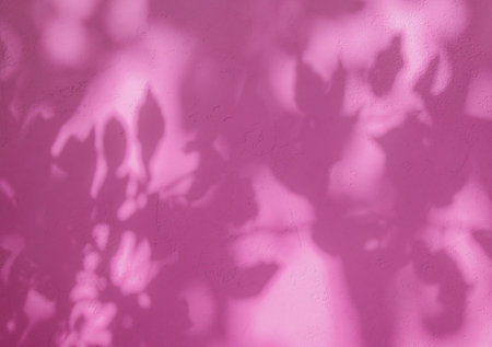 Leaf shadows on pink or fuchsia color stucco pattern wall.