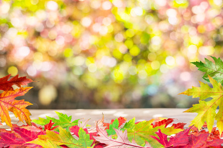 Autumn background with a whis autumn colorful leaves and beautiful sunny bokeh.