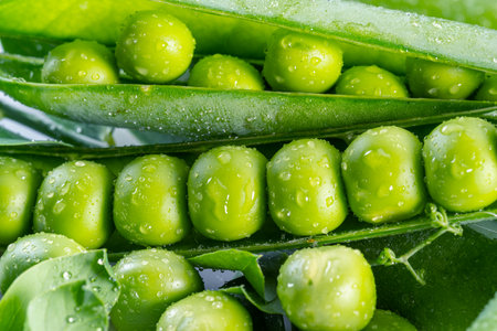 Perfect green peas in pea pod covered with water drops. macro shot.の写真素材