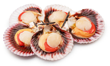 Group of fresh opened scallop with scallop roe or coral close up. File contains clipping path.