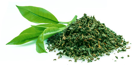 Heap of dried green tea and fresh tea leaves isolated on white background.の写真素材