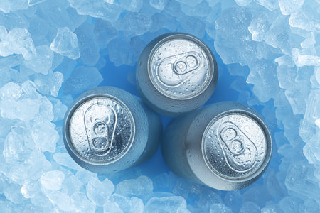 Cold bottles of beer in ice cubes, top view. food and drink background.の写真素材
