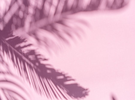Blurred shadow of tropical palm leaves on pink wall background. summer concept.