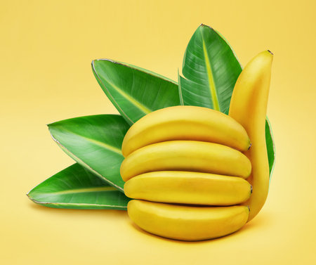 Banana thumb-up sign, green banana leaves on yellow background.の写真素材