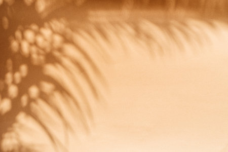 Blurred shadow of tropical palm leaves on orange wall background. Summer concept.の写真素材