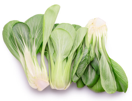 Bok choy or chinese cabbage isolated on white background.の写真素材