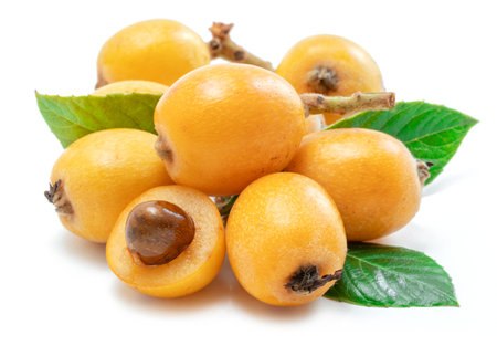 Loquats fruits with green leaves isolated on white background.の写真素材